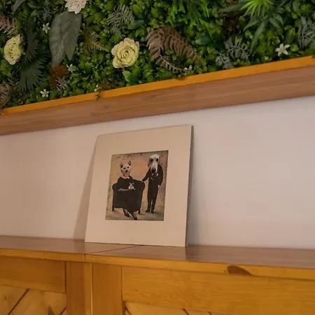 Csipesz_vendeghaz Διαμέρισμα *